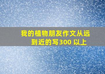 我的植物朋友作文从远到近的写300 以上